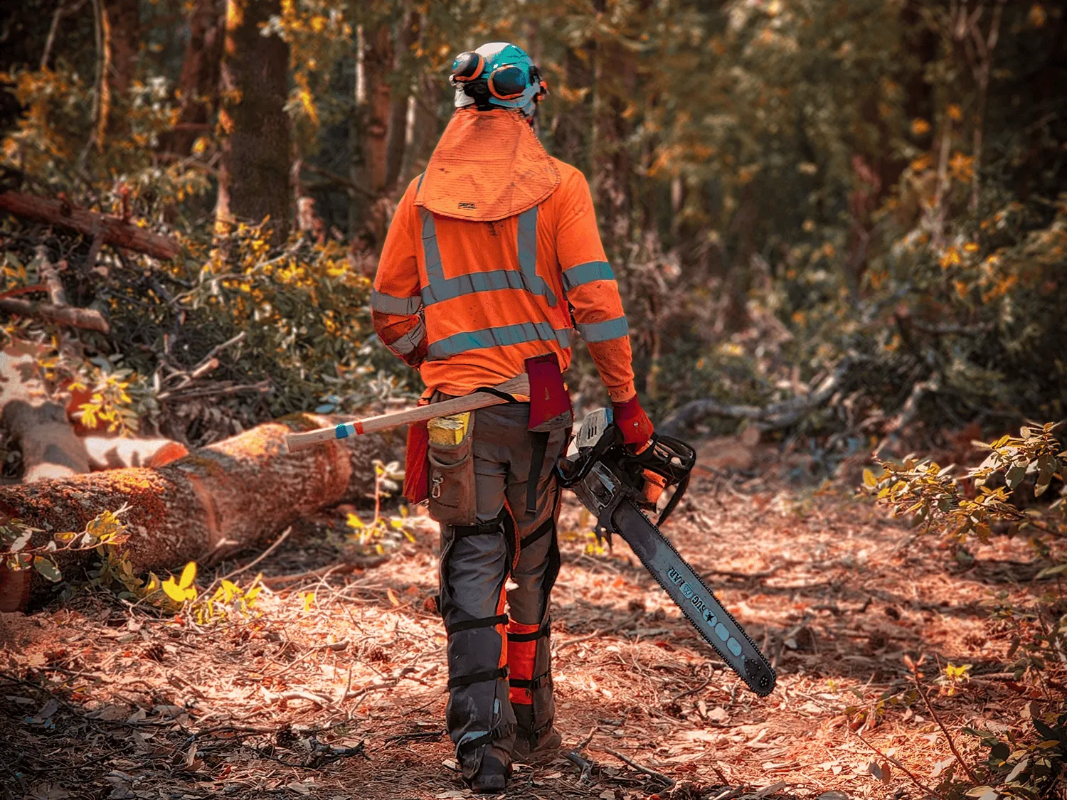 Commercial forestry services in Chico CA